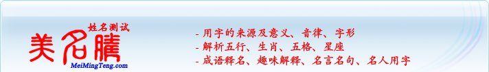 用字的來源及意義、音律、字形；五行、生肖、五格、星座；成語釋名、趣味解釋、名言名句、名人用字