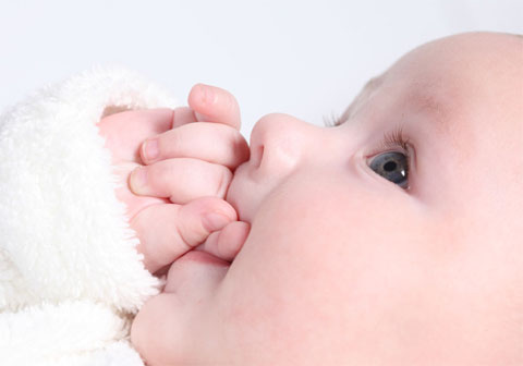 駿馬得食:為馬寶寶精選帶“艸”與“木”的名字