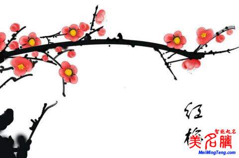 2018梅姓寶寶最詩意、最不凡的名字大全