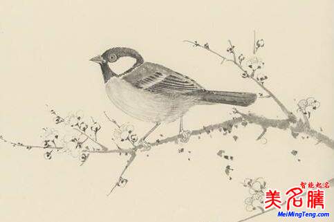 2018梅姓寶寶最詩意、最不凡的名字大全